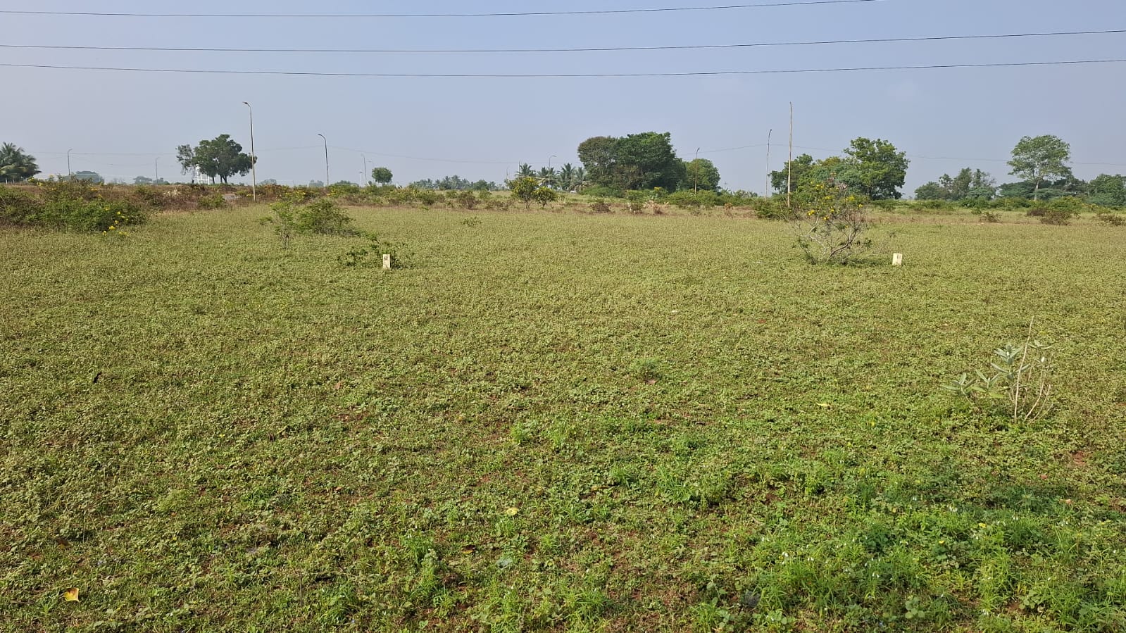 Sri Thiyakesa Nagar – Premium House Site Layout | Vadavalli, Coimbatore